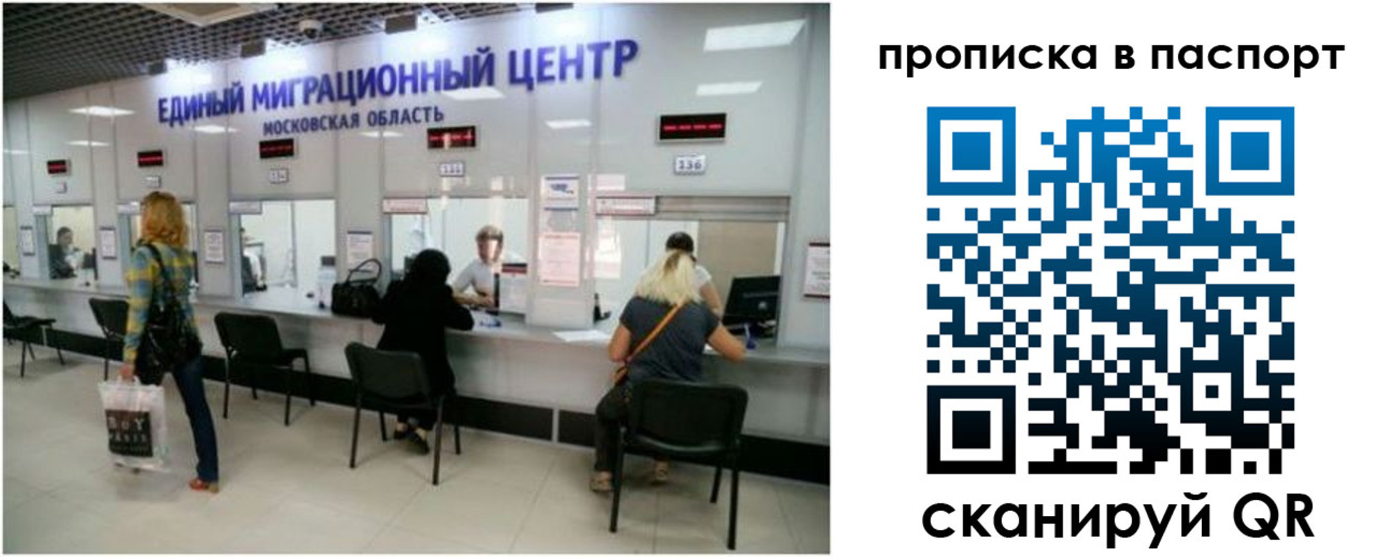 прописка в Петушках
